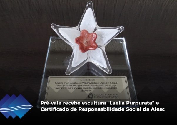 Pré-vale recebe escultura “Laelia Purpurata” e  Certificado de Responsabilidade Social da Alesc Foto 4